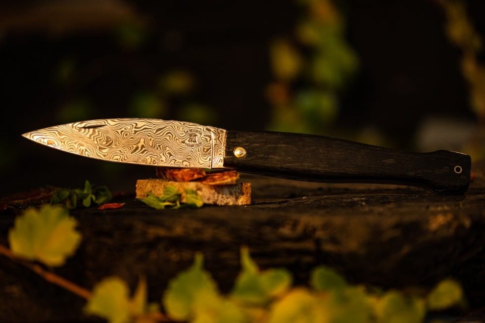 Illinois Knife Laws 2024’s Guide